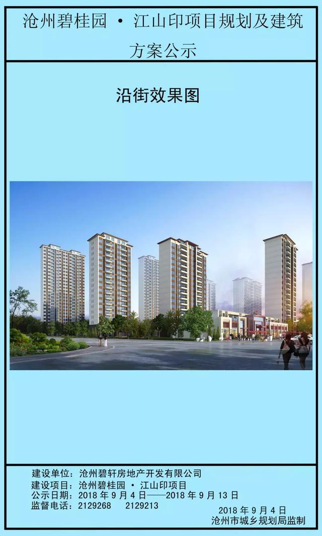 沧州碧桂园·江山印项目规划、建筑方案、