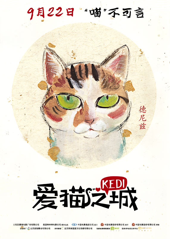 《愛貓之城》內地定檔9.22 「Q版萌貓」魅力來襲 娛樂 第5張