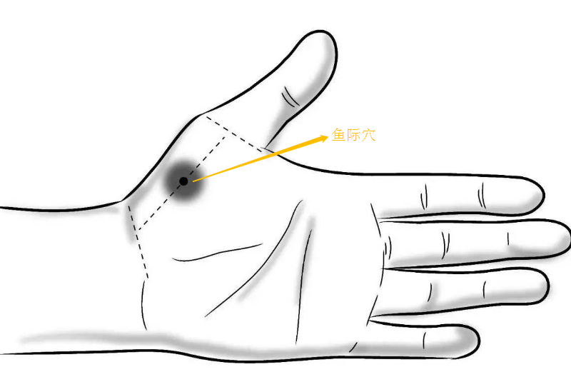 3.掌跟之上:鱼际穴