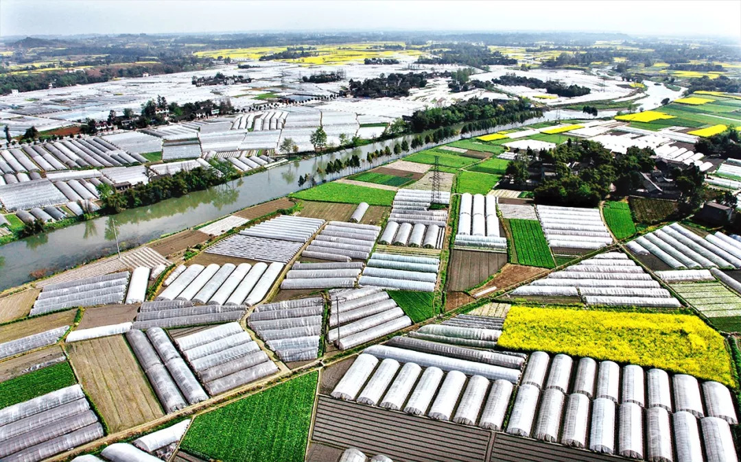 伊川县白元镇长住人口_伊川县白元乡夹河村(3)