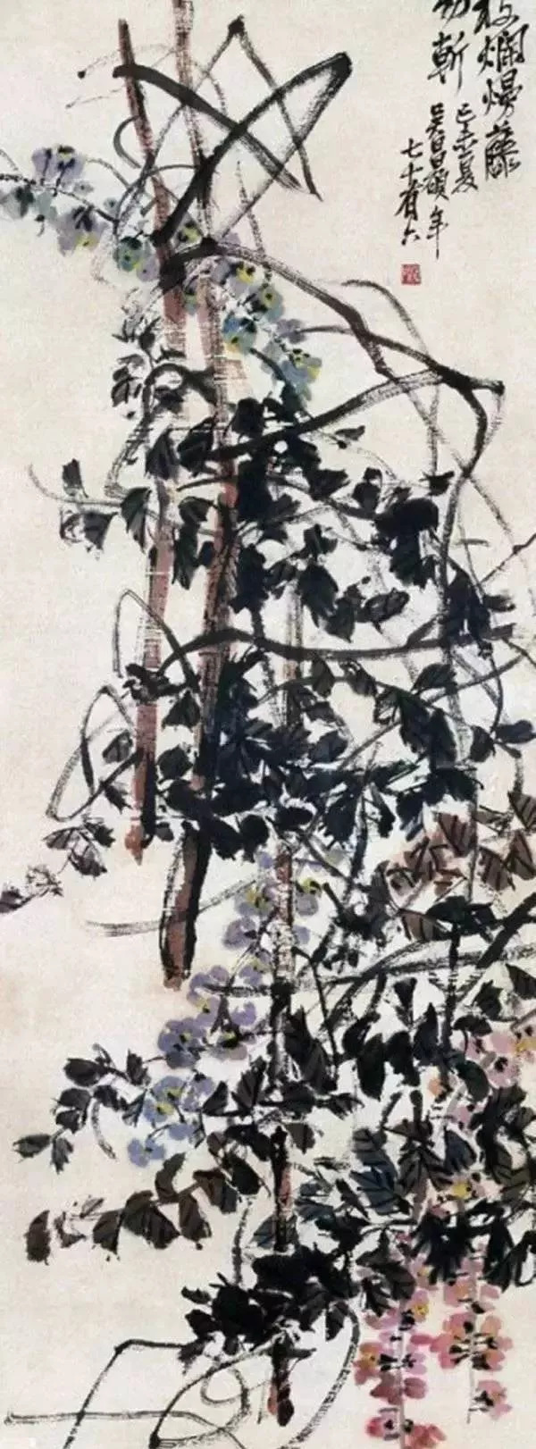 这种美学性格在吴昌硕的紫藤作品中抒写得相当生动尽致.