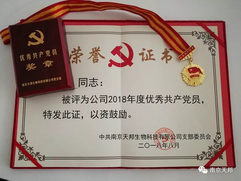 公司党支部书记朱晓玮老师为获得2018年度支部"优秀党务工作者"称号的