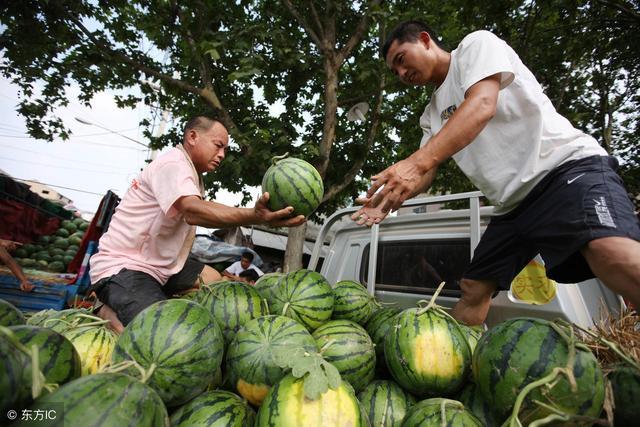 农民大叔简单三招让无人问津的西瓜卖到疯抢