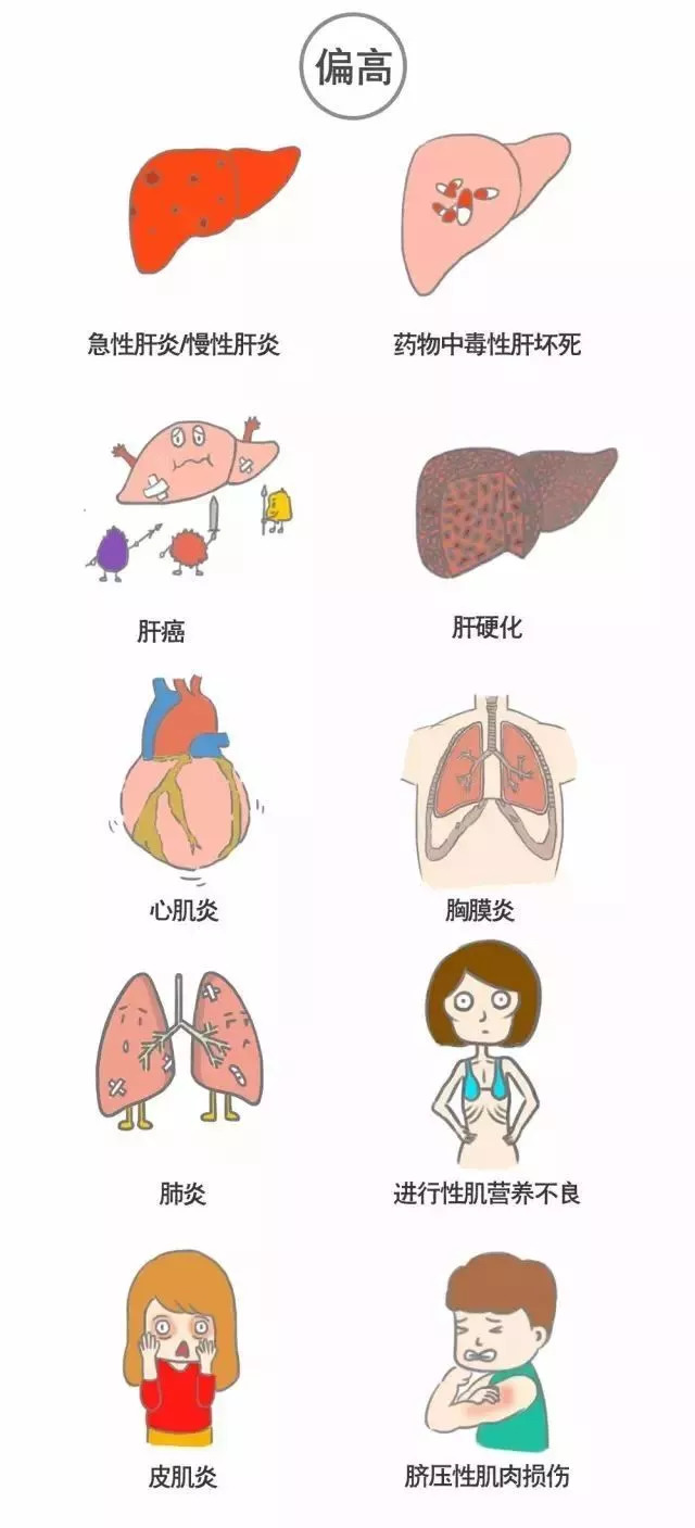 【医学科普】这是一份"有温度"的体检报告单解读