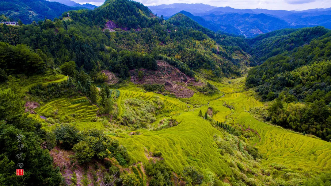 大田马山梯田