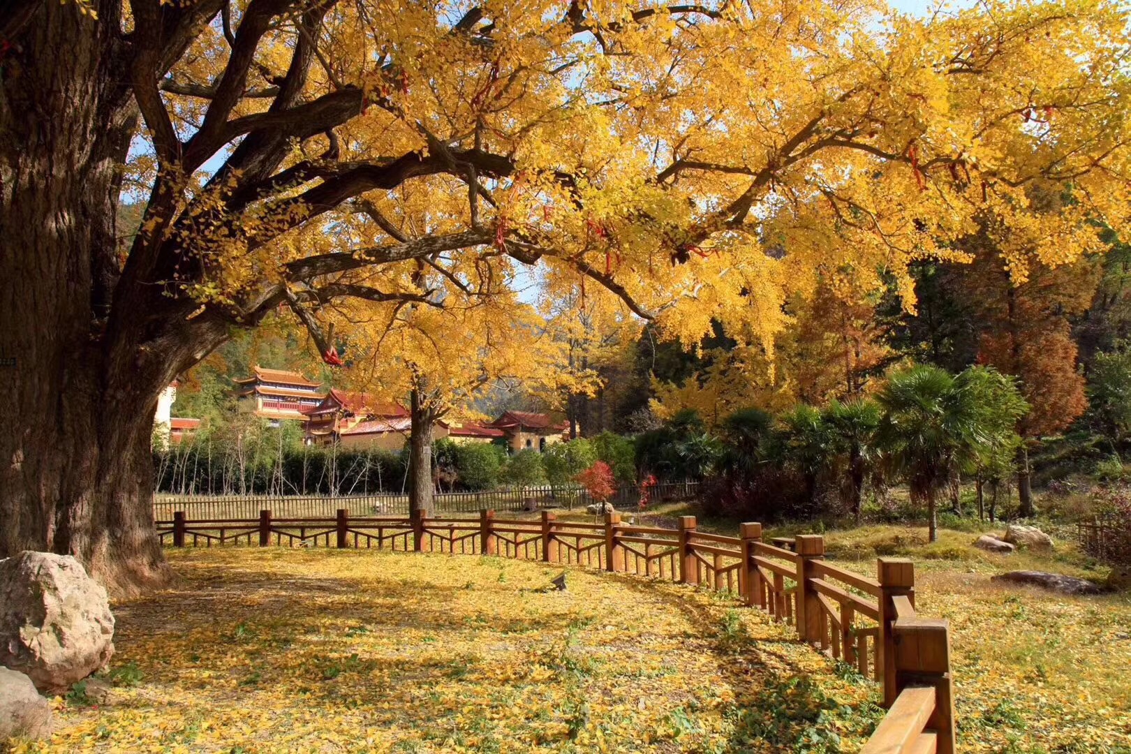 随州大洪山旅游-大洪山两日游:报价267元_金顶