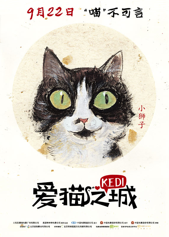 《愛貓之城》內地定檔9.22 「Q版萌貓」魅力來襲 娛樂 第3張