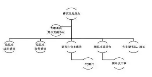 上海大学经济学院研究生会组织架构完备,下设主席团与三个部门(学术