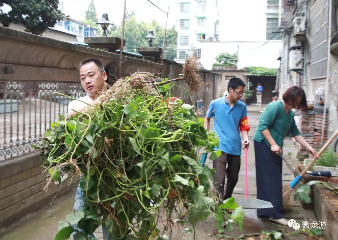 为龙游城市更美丽,我们一直在路上