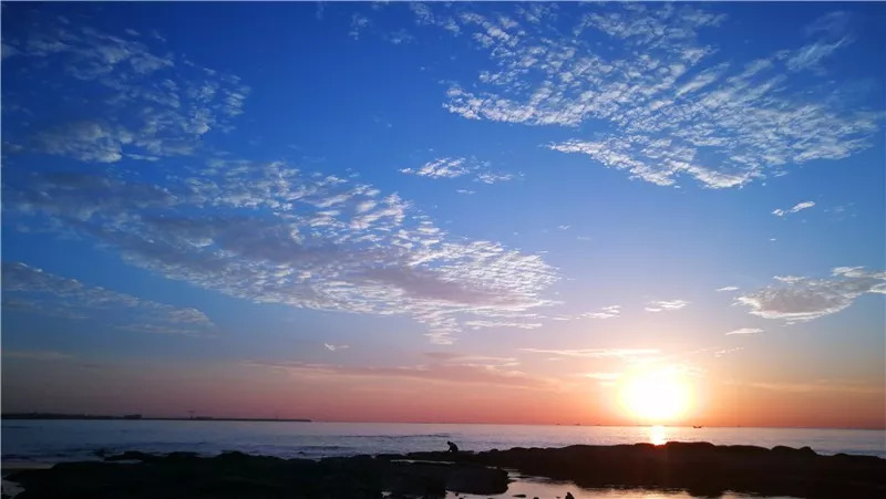 大海做背景,沐浴在金色九月晨光里!心会跟爱一起走!