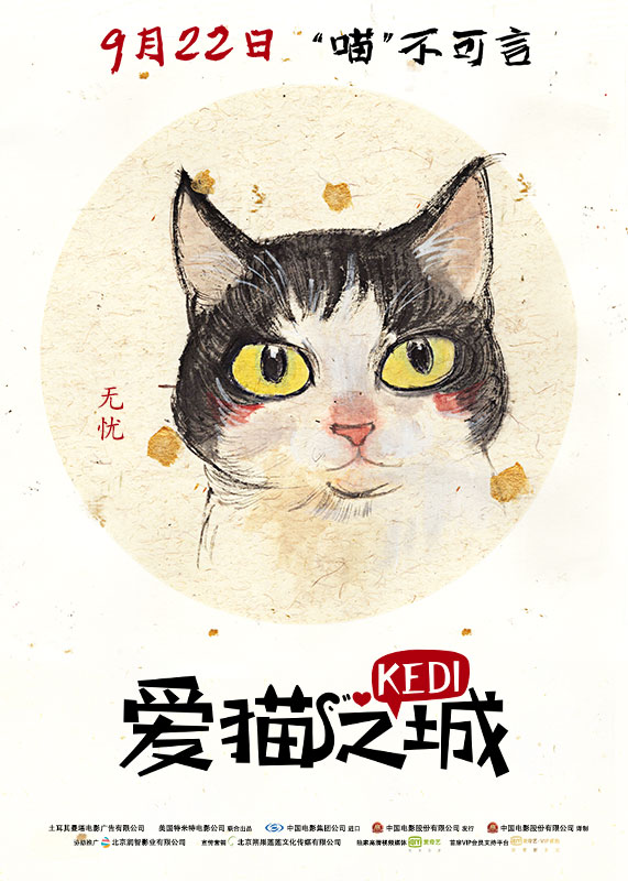 《愛貓之城》內地定檔9.22 「Q版萌貓」魅力來襲 娛樂 第6張