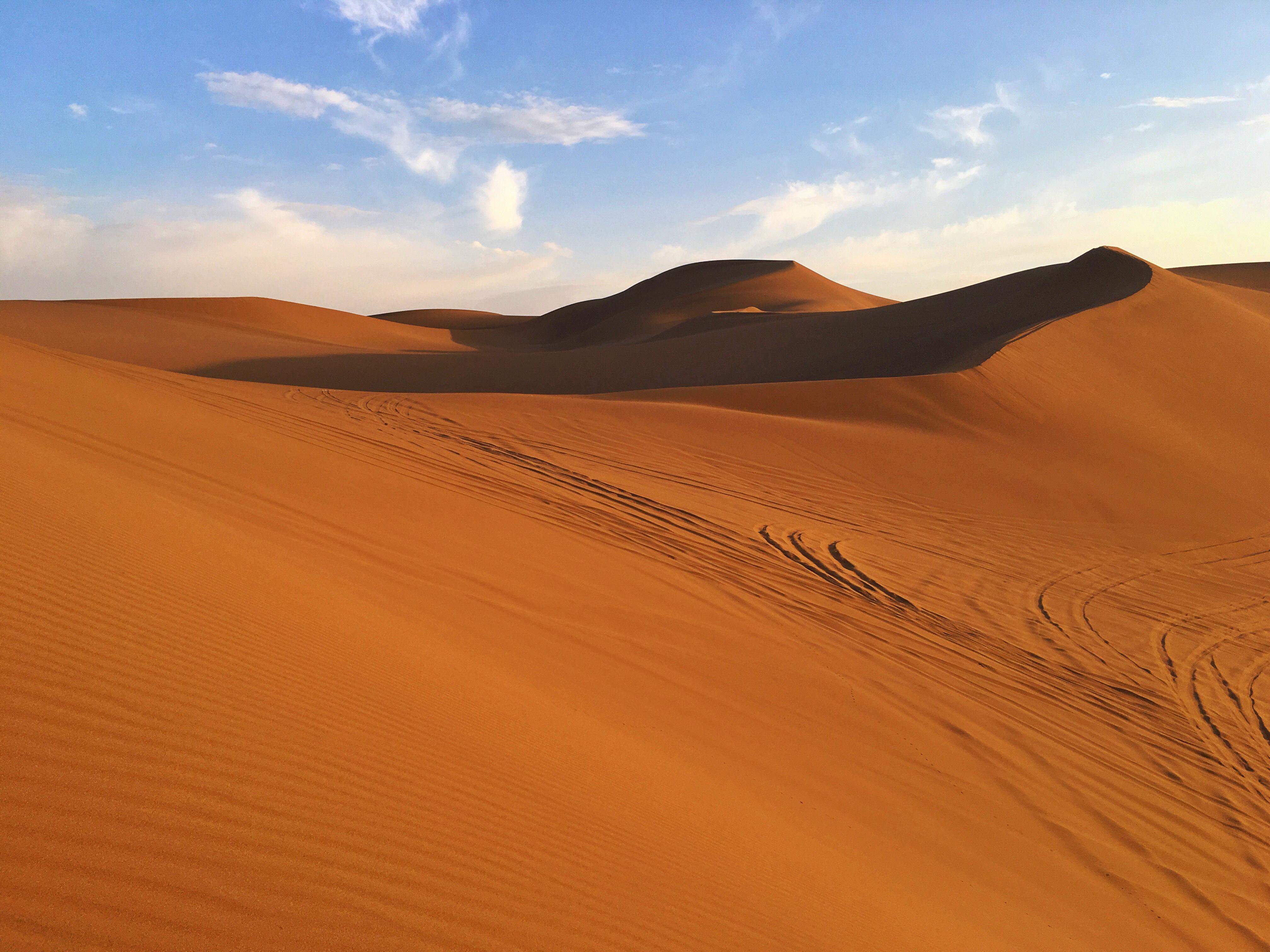 沙丘形态及表沙粒度特征对风况和地表植被变化的响应
