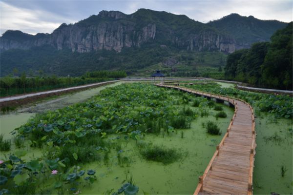 龙溪乡寒岩村四好农村路编织美丽经济新画卷