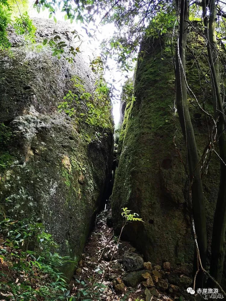 快看!就在义乌赤岸镇南线双尖峰,十段经典登山健身步道等你来