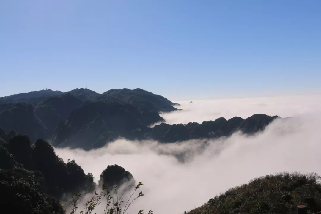 必去景点三:大明山