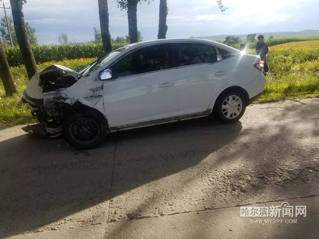 突发 巴彦区间公路两车肇事一死一伤 深夜南岗街头本田轿车连撞三车 驾驶员弃车跑了 事故