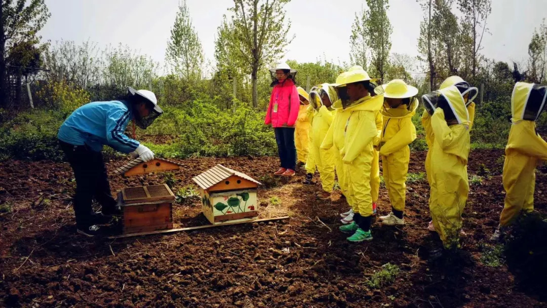 仅靠60亩荒地,打造出"北欧系"英伦范"自然教育基地_文化村