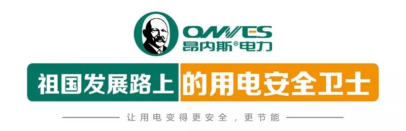 司金鑫司长8月29日调研考察江苏昂内斯电力科技股份有限公司时强调"