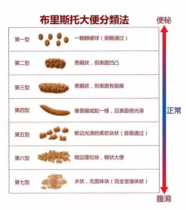 大便性状分类 来自网络