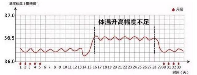 备孕期间,学会测体温,让你一招就中!