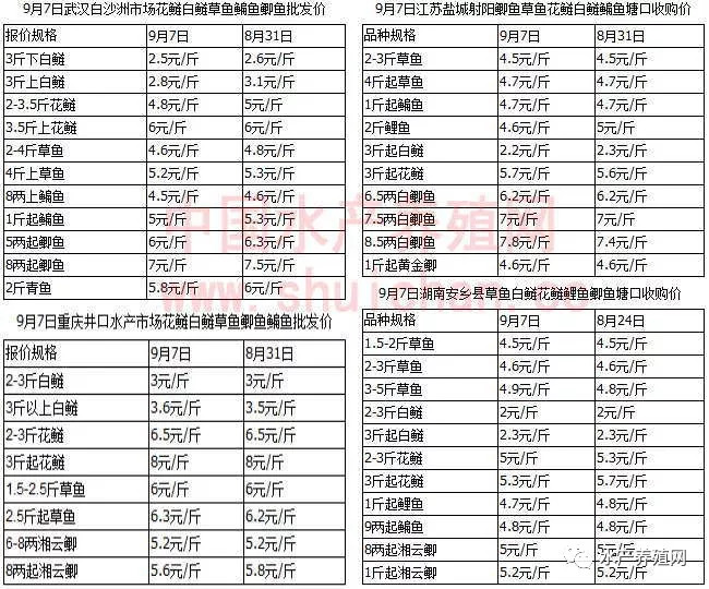 湖南姓周的有多少人口_湖南人口图