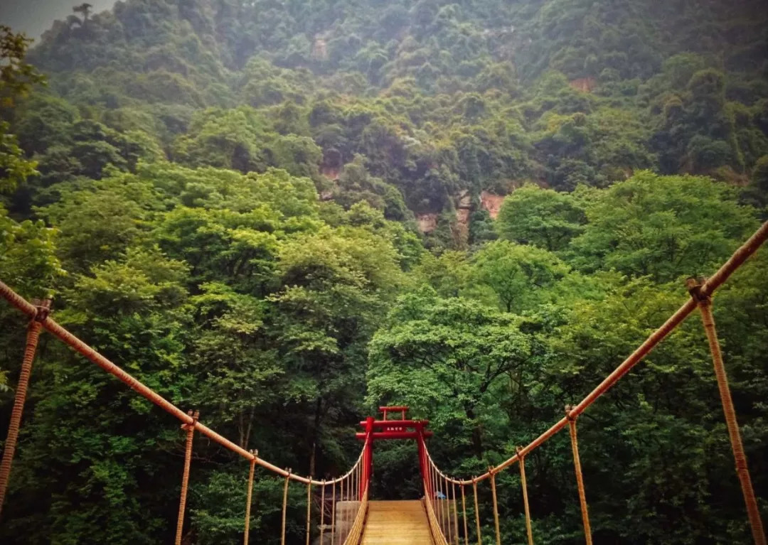 邛崃所有老师,天台山景区这份心意悄收下