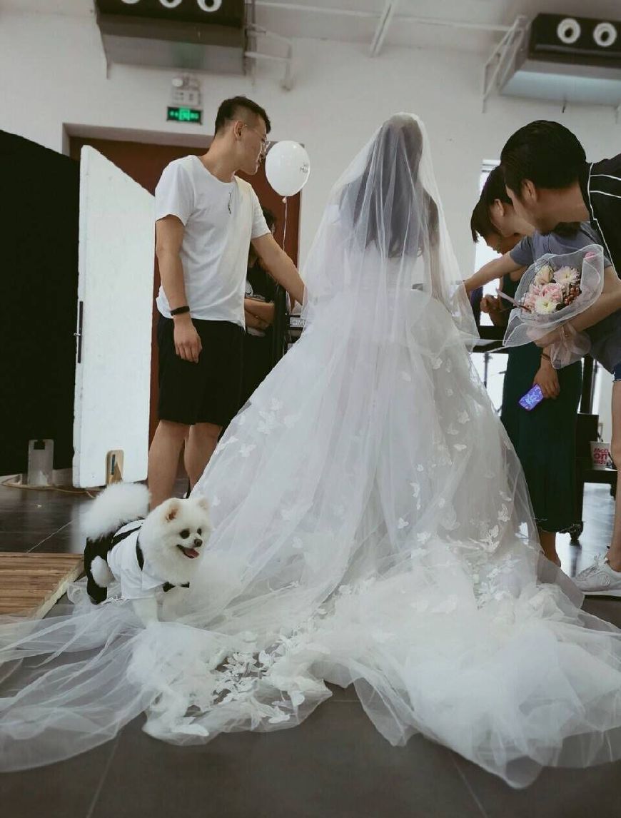 拍婚纱照花絮_街拍婚纱照(3)