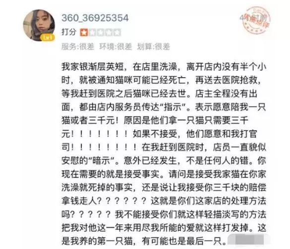 我養了三年的貓，去寵物店洗澡被打死了，監控下可怕的真相竟是... 萌寵 第3張