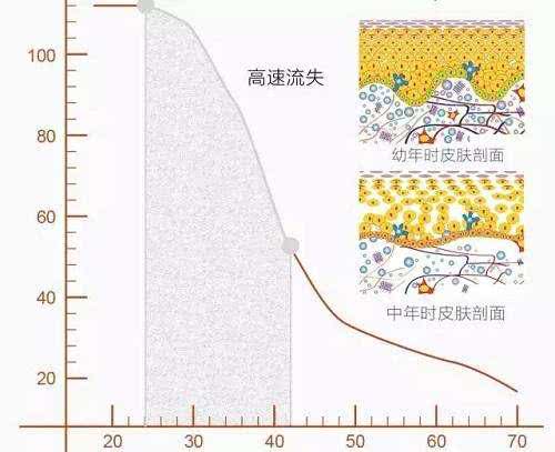 1种蛋白流的越多，黄褐斑长得越多，内调变白去黄气少走弯路！