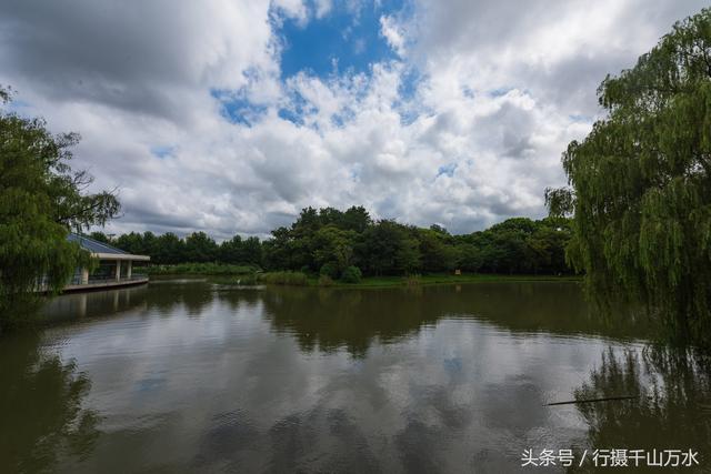 上海浦东的这个公园,景观湖碧波荡漾,门票只要10元钱