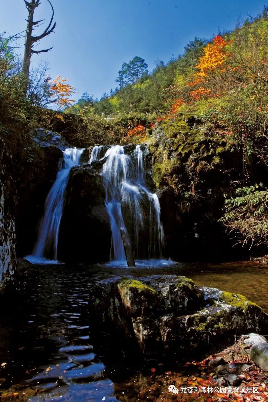 山水家乡龙苍沟国家森林公园