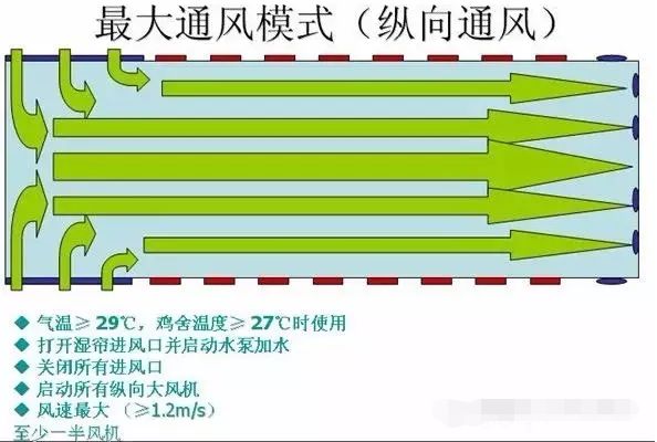 一叶知秋,入秋鸡舍通风管理