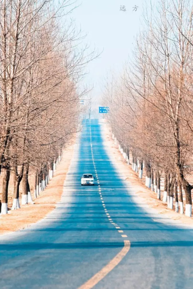 当你选定一条路,另一条路的风景便与你无关