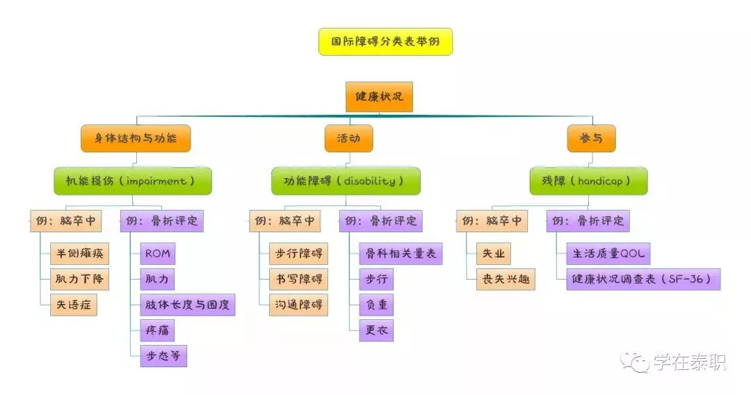 康复干货康复基础知识思维导图