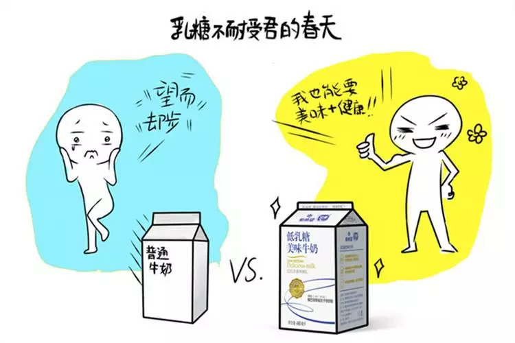 什么是乳糖不耐受? 大人自己有没有喝了牛奶后不舒服的现象?