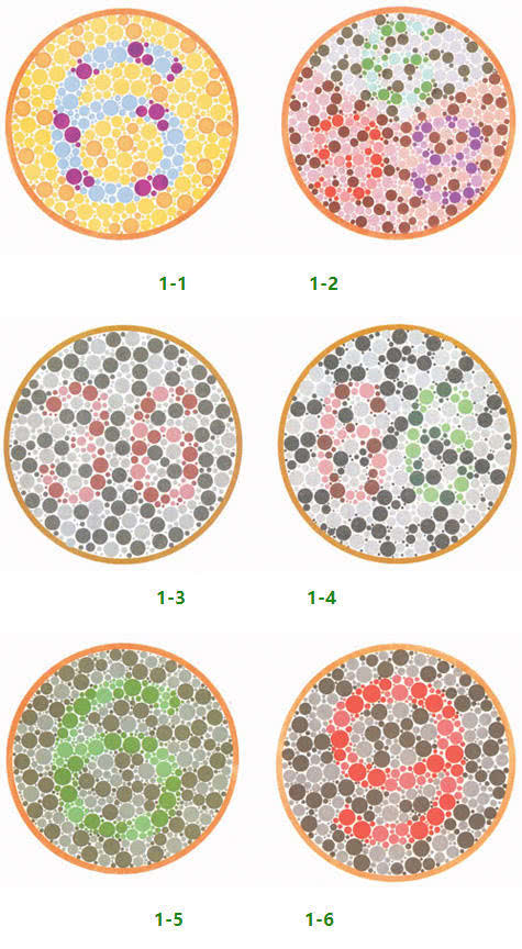 看到45 第五个盘子,用来判别红绿色盲,正常看到的是26,如果而绿色