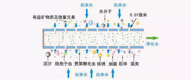 什么叫反渗透 原理是什么_幸福是什么图片(2)