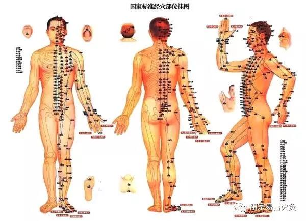 中医上说,经络是运行气血,联系脏腑和体表及全身各部的通道,是人体