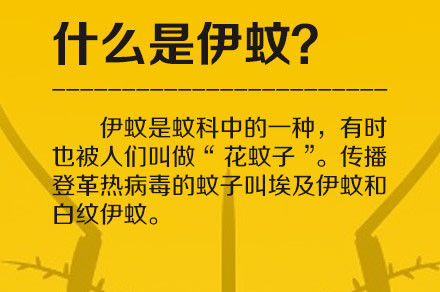 东莞通招聘_根本停不下来 年度好工作又来了 这次是东莞通招人喔(3)