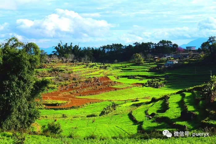 美丽乡村大芦山 风景如画惹人醉_思茅区