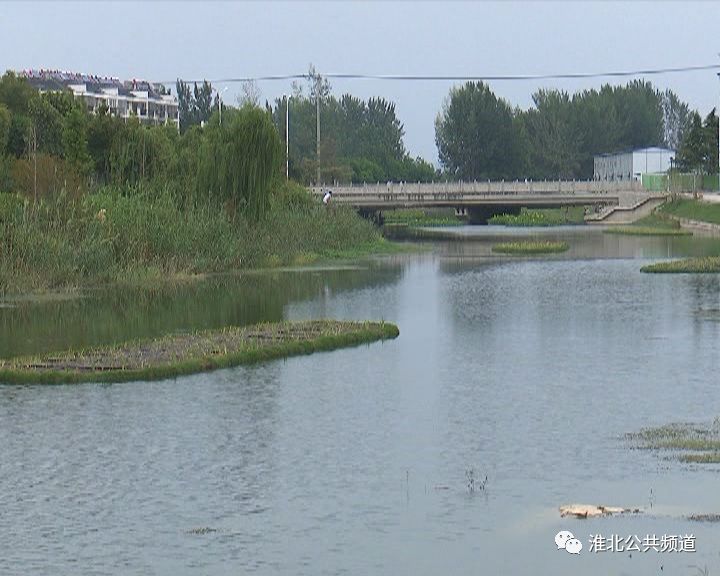 【淮北广电】 我市城市黑臭水体整治初见成效_河道