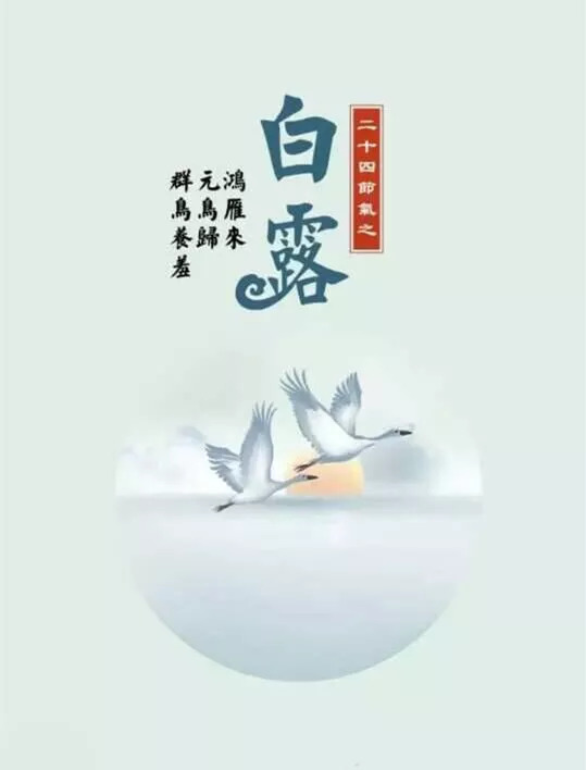 民间有"春茶苦,夏茶涩,要喝茶,秋白露"哪说法.