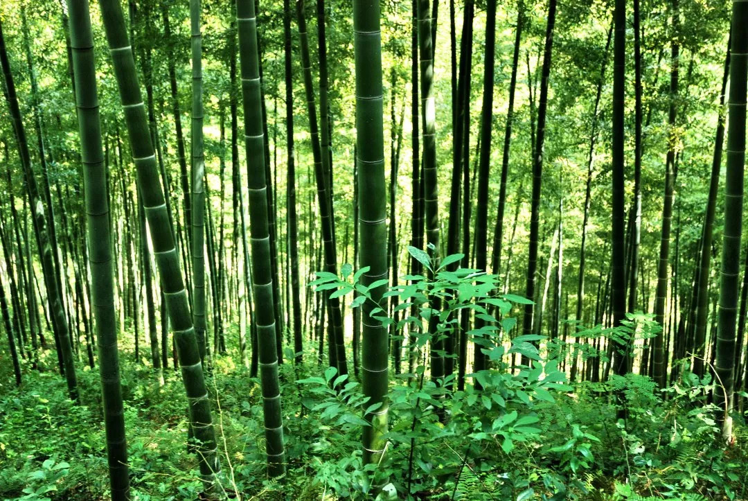 贵州有一个千年古县,景色宜人但很多贵州人还不知道!