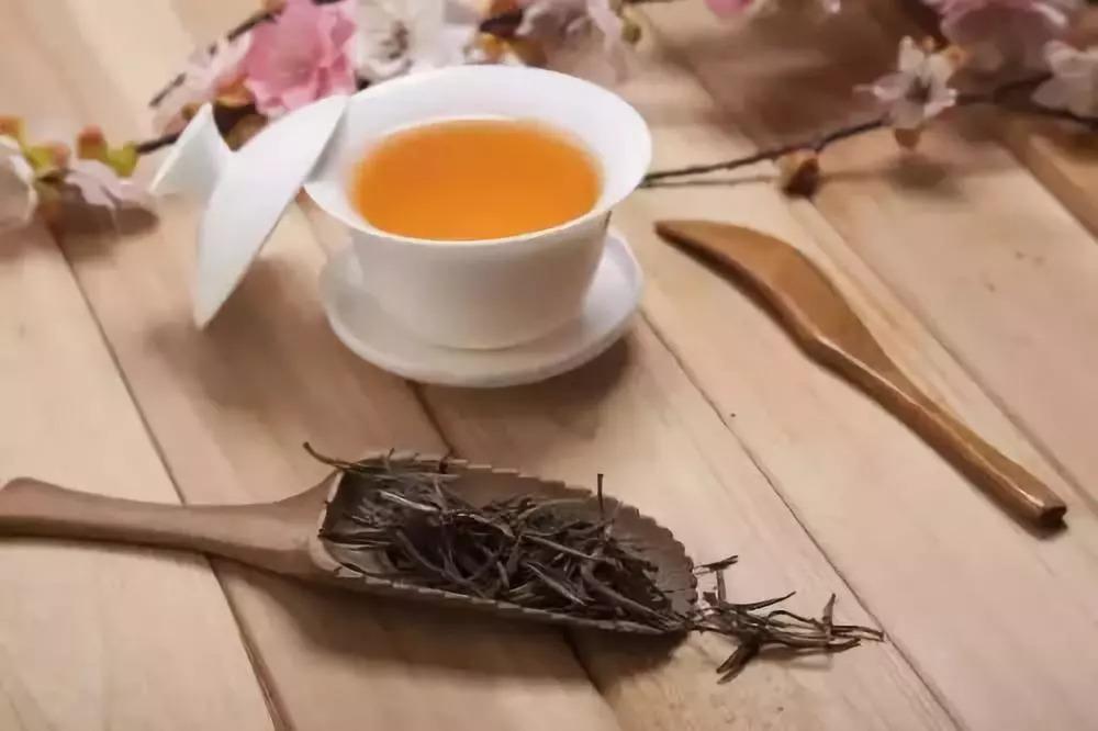 南京:白露茶