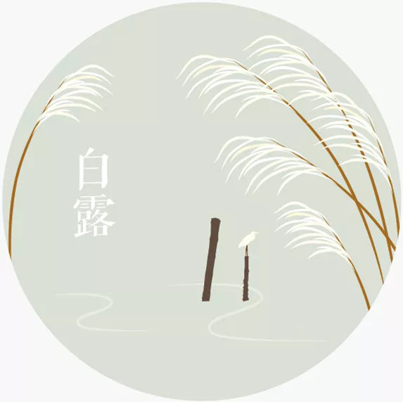 【百信缘节气】蒹葭苍苍,白露为霜.白露时节,做个优雅的养生"伊人"!