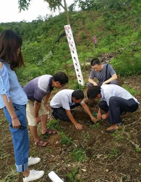 场地种树人口地种庄稼_农民伯伯种庄稼图片