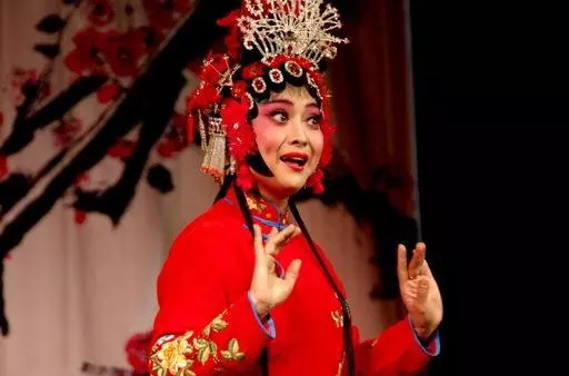 国家一级演员,两度中国戏剧梅花奖获得者,河南小皇后豫剧团团长