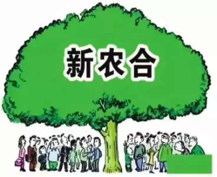 2019农村贫困人口_农村贫困人口实现