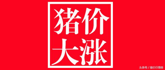 今日猪价走势分析,未来猪价上涨空间较大