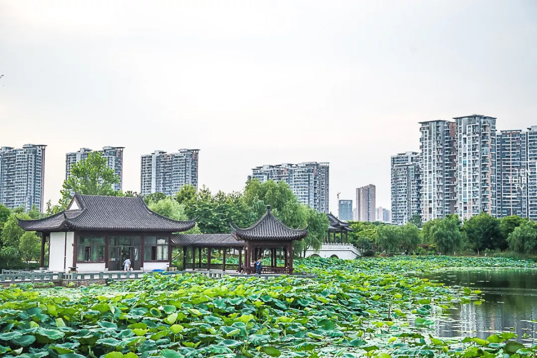 生活丨101条武汉生活指南！建议收藏，绝对实用！(图10)